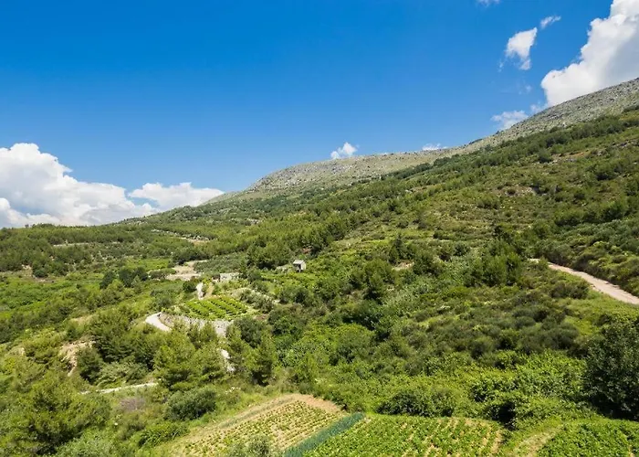 Carso Olea A3 2+2 Podstrana